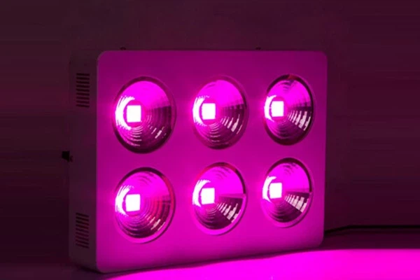 LED Grow Light gyártók